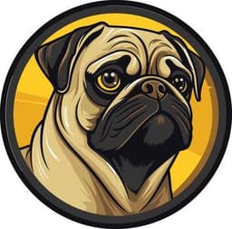 PuG COMMUNITY
